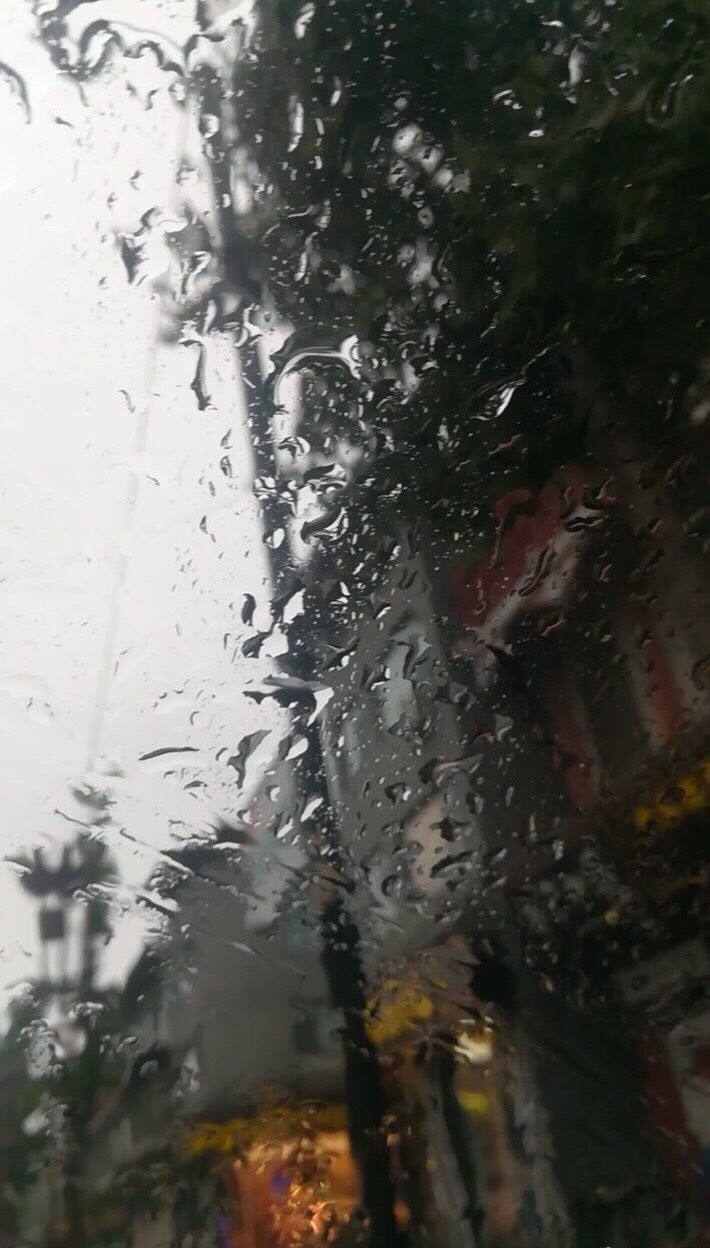 һҹĳԺ(jng)Ŀ